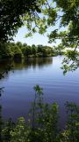 etang-de-peronne-chanteloup-les-bois-49