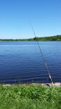 etang-de-peronne-chanteloup-les-bois-49