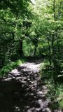 Cholet tourisme lieux de visite nature péronne étang massif forestier de Nuaillé Chanteloup les Bois espace naturel randonnée pêche