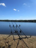 Cholet tourisme lieux de visites espace naturel Etang des Noues balade forêt