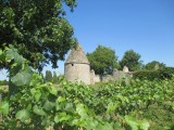 Cholet Tourisme Route des Vins Vignoble Patrimoine Haut-Layon