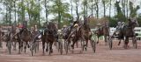 Cholet tourisme sport hippodrome Clénet cheval equestre