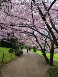 Parc Oriental de Maulévrier