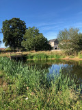 promenons-nous-a-begrolles-en-mauges-49