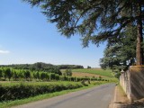 Cholet Tourisme Route des Vins Vignoble Patrimoine Haut-Layon