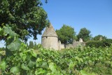 Cholet Tourisme Route des Vins Vignoble et Patrimoine du Haut-Layon