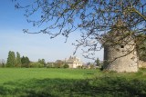 Cholet Tourisme Route des Vins Vignoble et Patrimoine du Haut-Layon