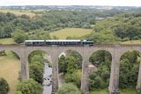 trainrestochemin-de-fer-de-vendee-85