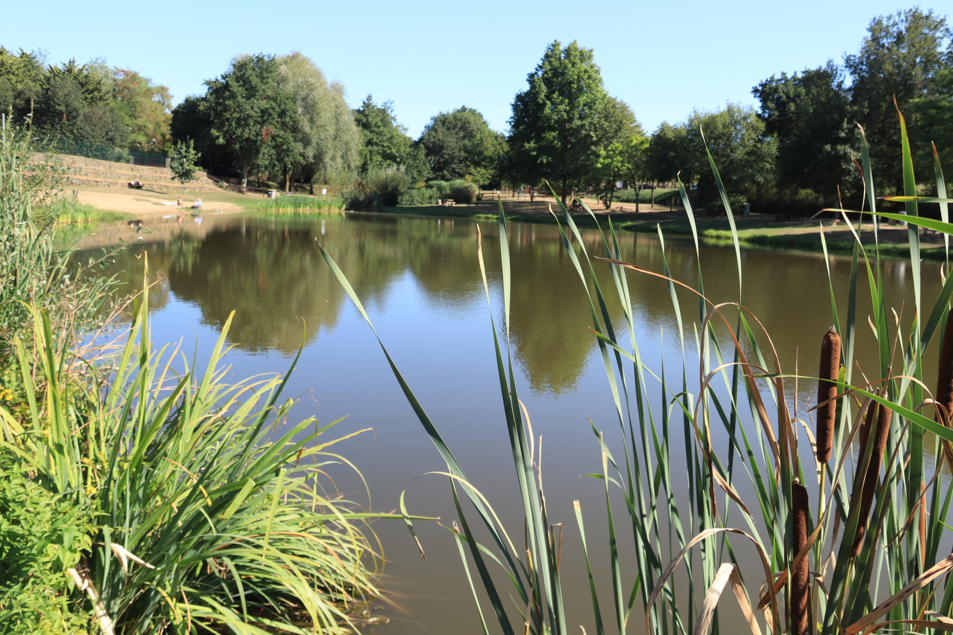 aire-de-baignade-des-pres-naiteaux-montilliers-49