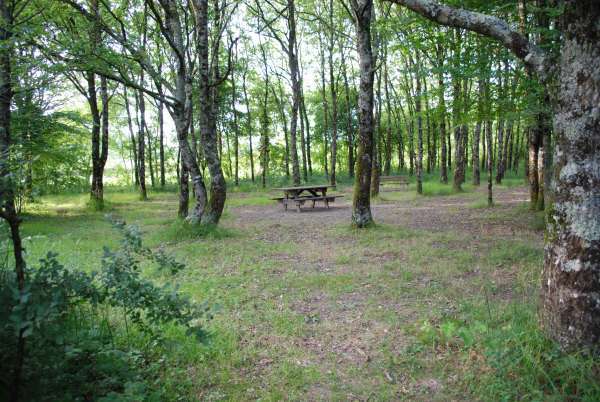 Cholet tourisme aire de pique-nique aire des guérets Chanteloup les bois