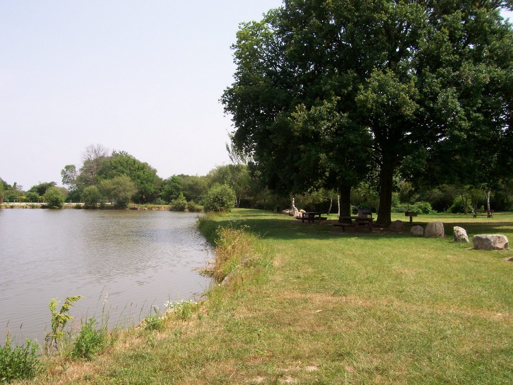 aire-naturelle-la-fontaine-de-boisdon-saint-paul-du-bois-49