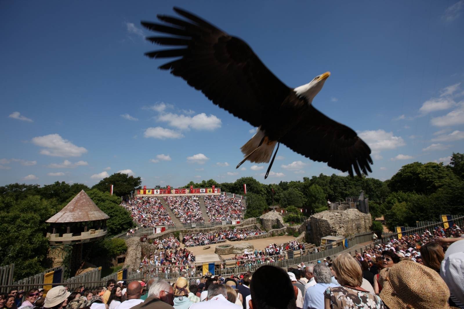 Cholet Tourisme Bal des Oiseaux Fantômes Puy du Fou