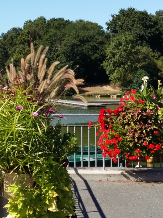 cholet restaurant bord du lac ribou