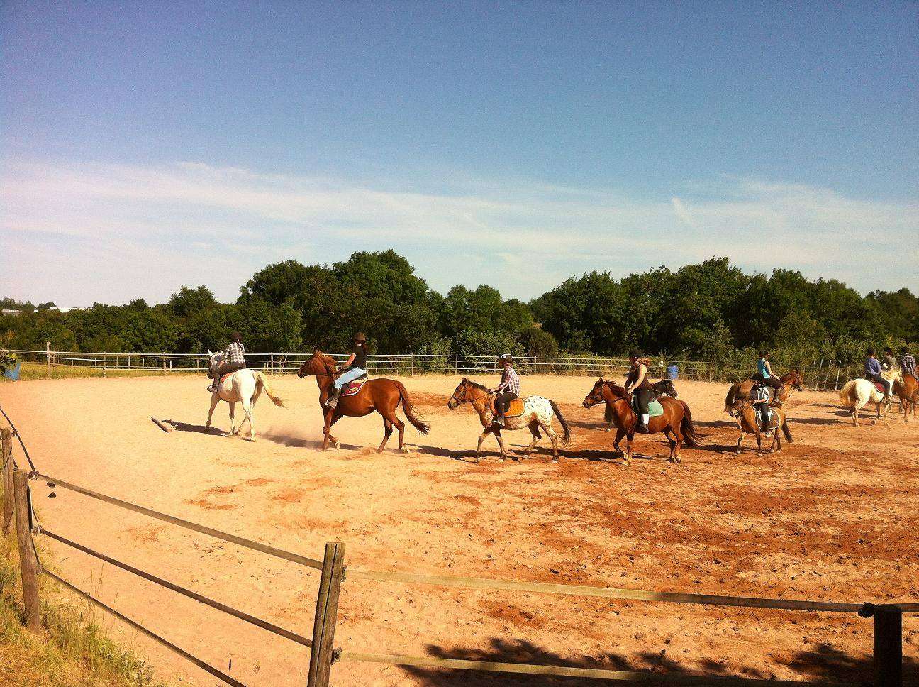 centre-equestre-de-mauny-trementines-49