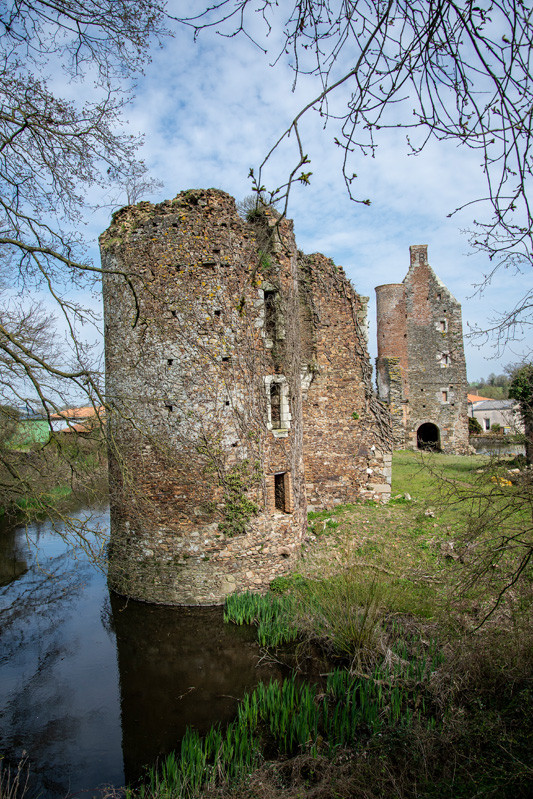 chateau-du-cazeau-le-may-sur-evre-2019-49-c-serge-cousseau-10-2852373