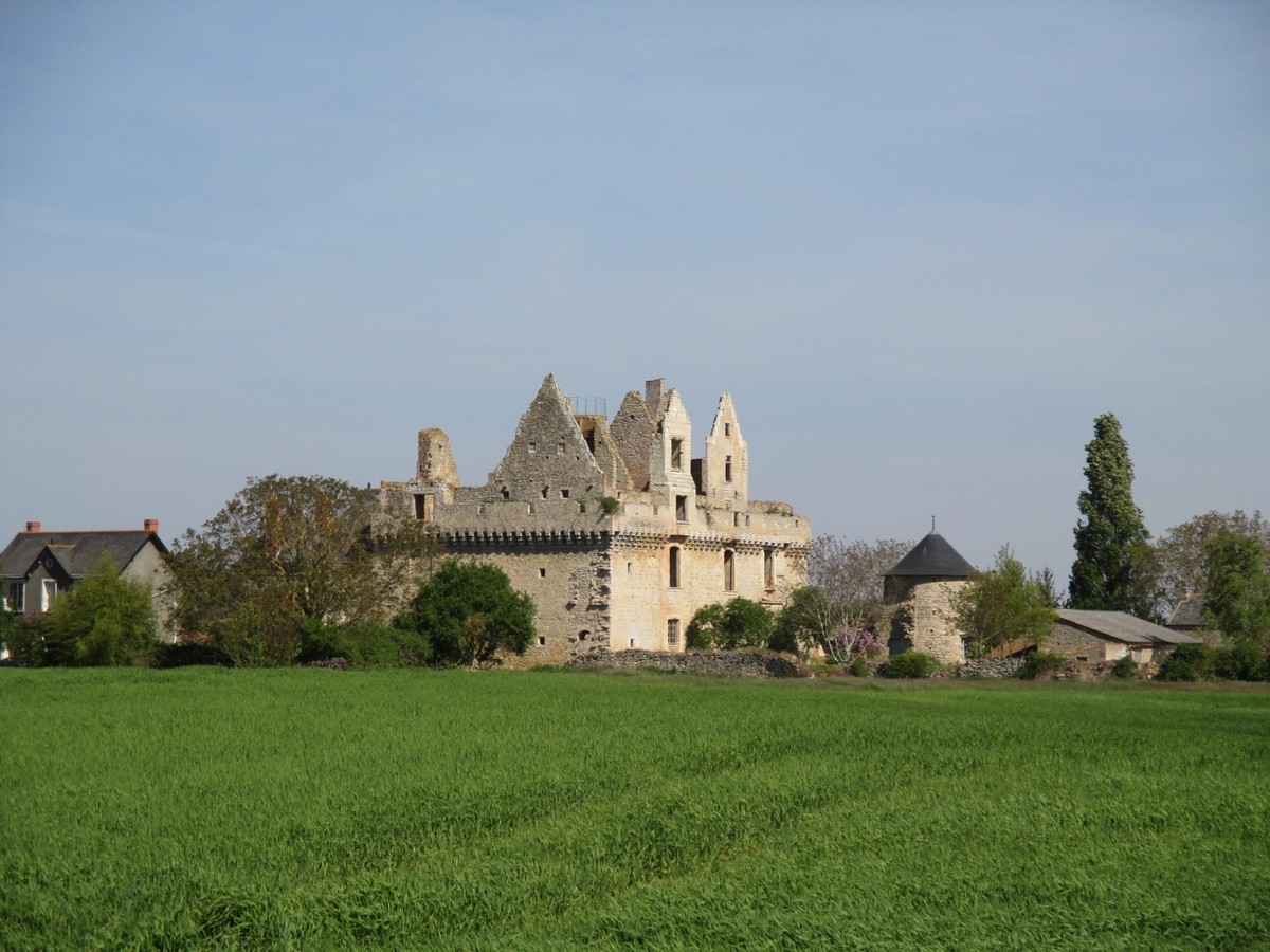 Cholet Tourisme Route des Vins Vignoble Patrimoine Haut-Layon