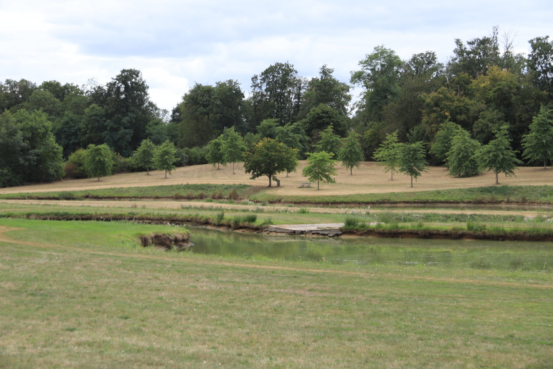 Cholet tourisme  randonnée sentier de l'Uzelière aux Landes Vezins