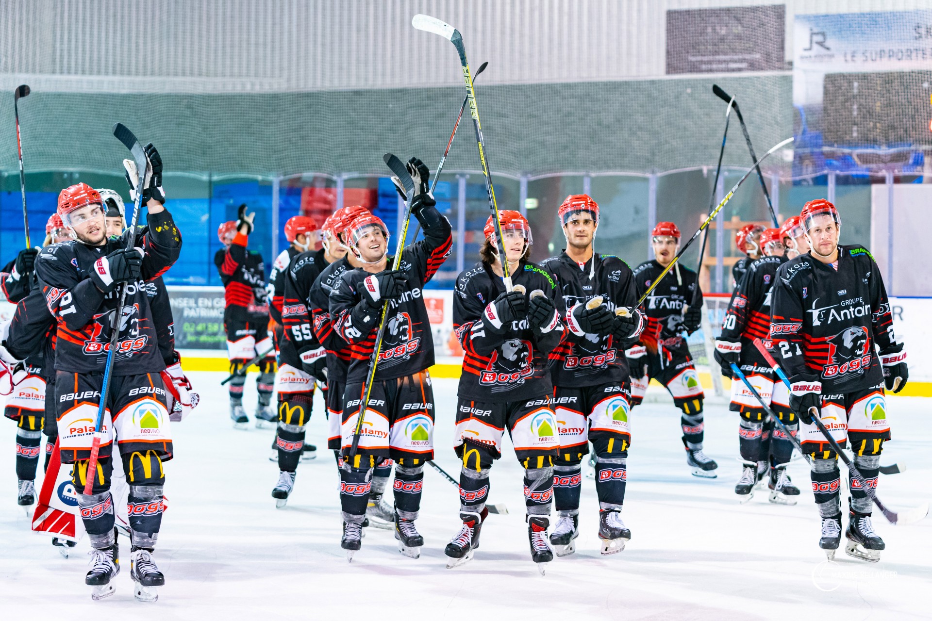 dogs-hockey-sur-glace-cholet-49