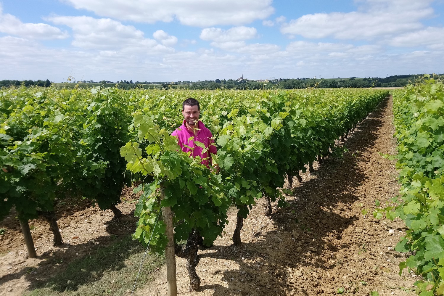 Cholet Tourisme Domaine de la Fée du Lys Tigné Vigneron