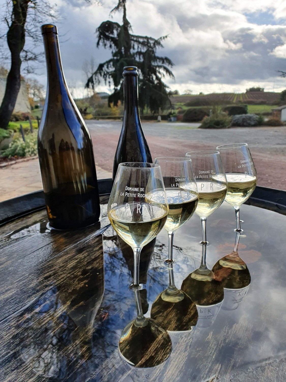 domaine-de-la-petite-roche-tremont-49-4