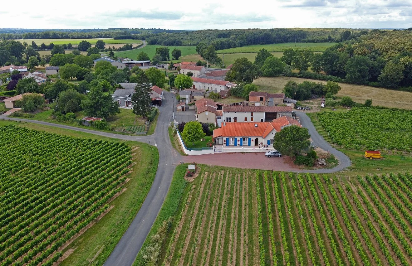 Domaine Viticole Vigneron Vin Dégustation Layon Anjou