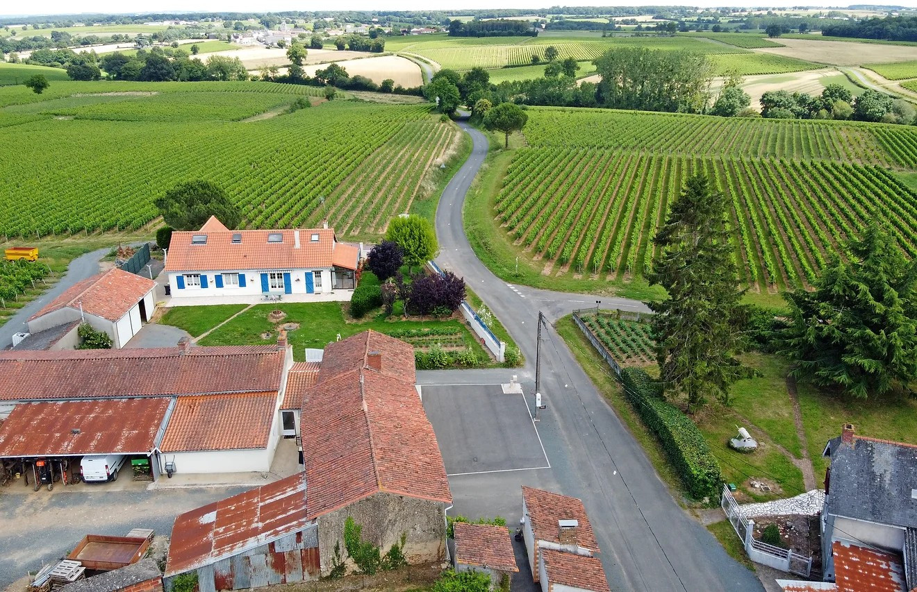 Domaine Viticole Vigneron Vin Dégustation Layon Anjou