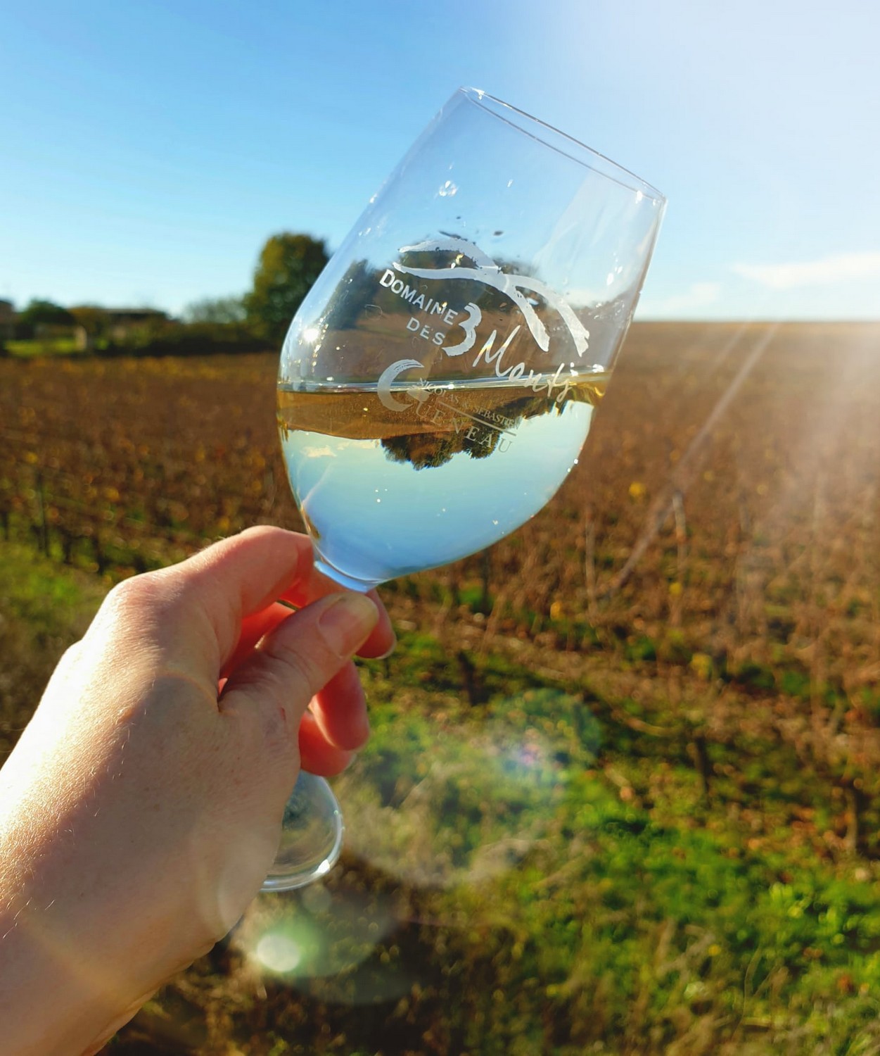 Domaine des Trois Monts Verre Vin Dégustation Vigne Trémont