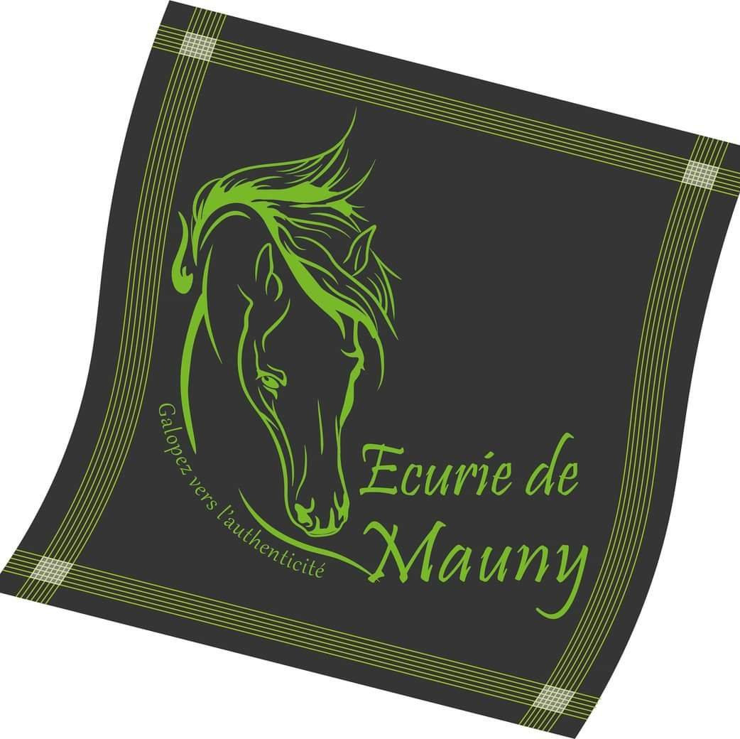 ecurie-de-mauny-2854203 ecurie-de-mauny-2854203