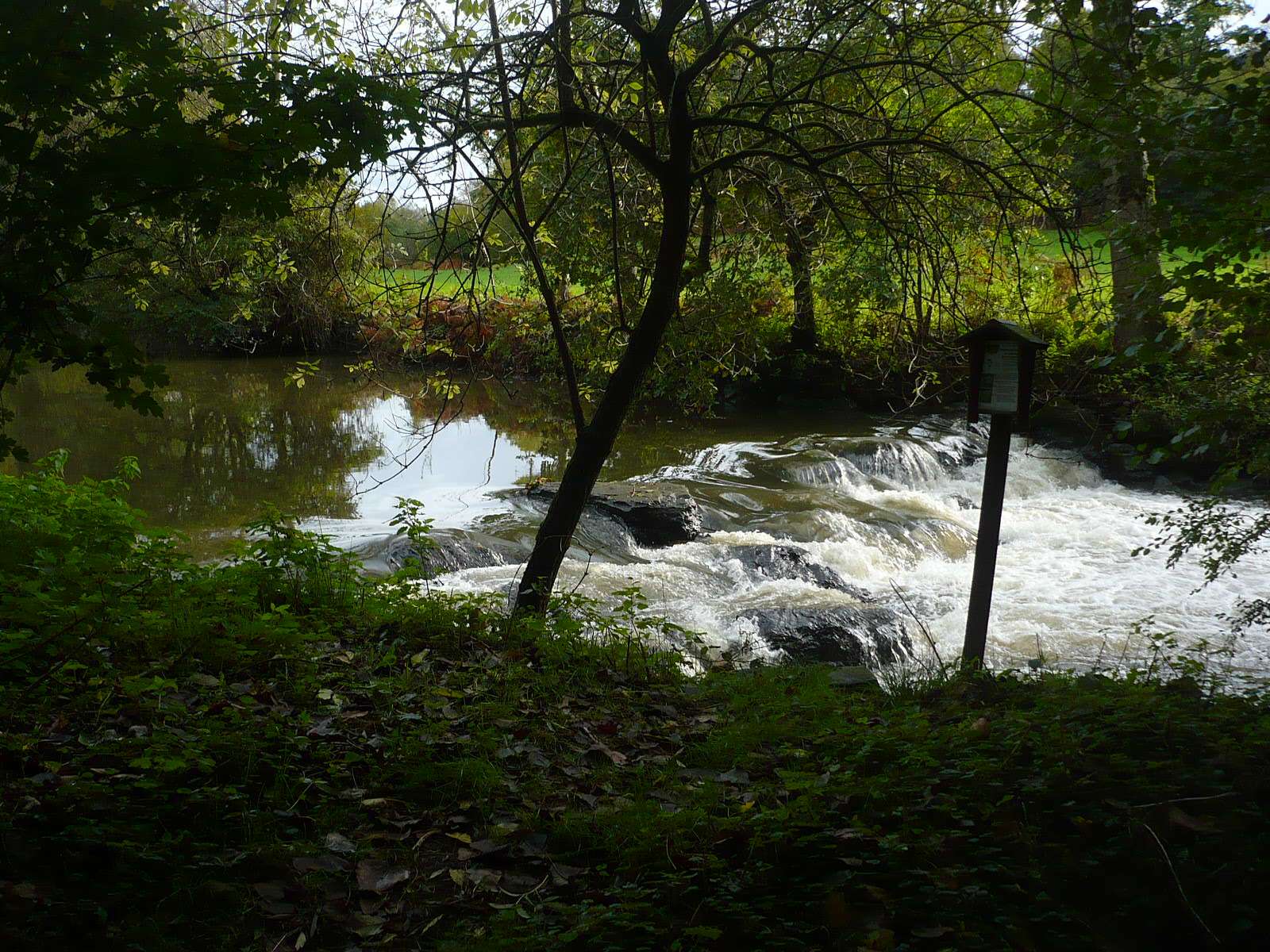 Cholet tourisme nature découvrir randonnée Le Bouchot La Romagne La Séguinière bords de La Moine