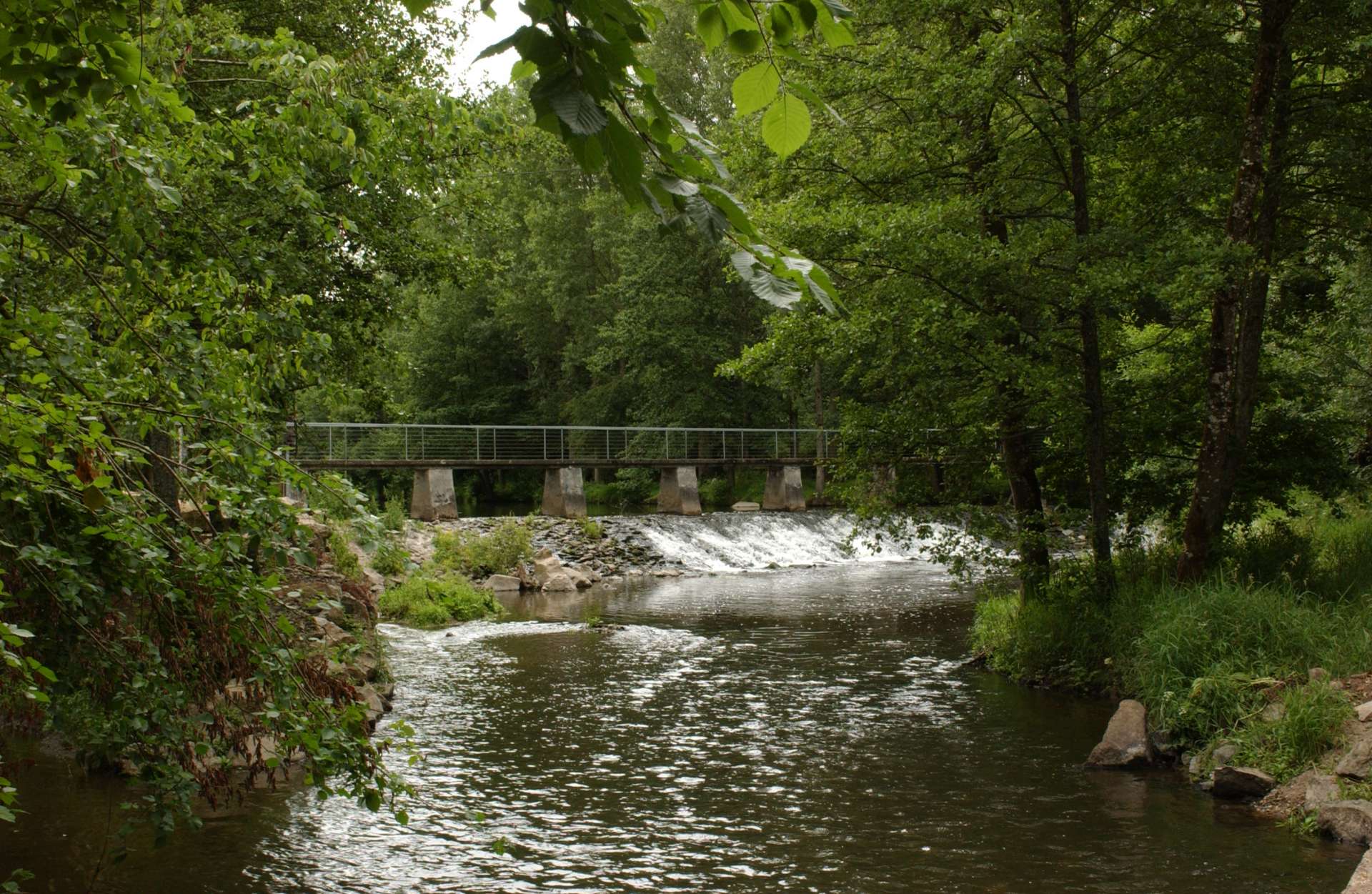 Cholet tourisme nature découvrir randonnée Le Bouchot La Romagne La Séguinière bords de La Moine