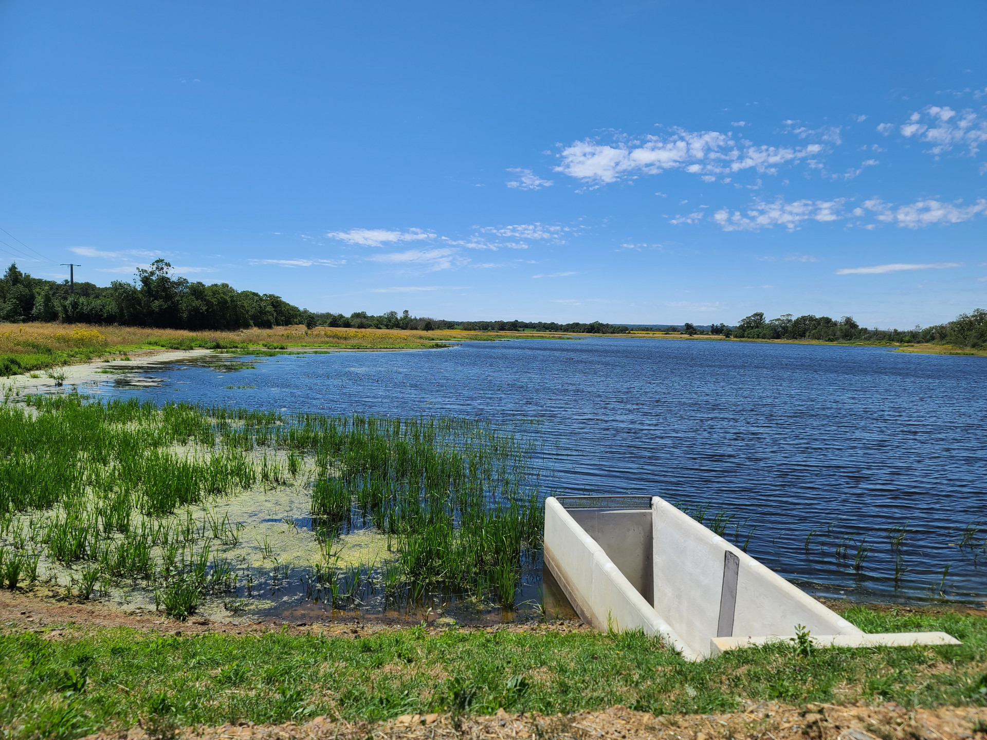 etang-de-beaurepaire-clere-sur-layon-2023-49-c-cl-mence-dubillot-4-2852420