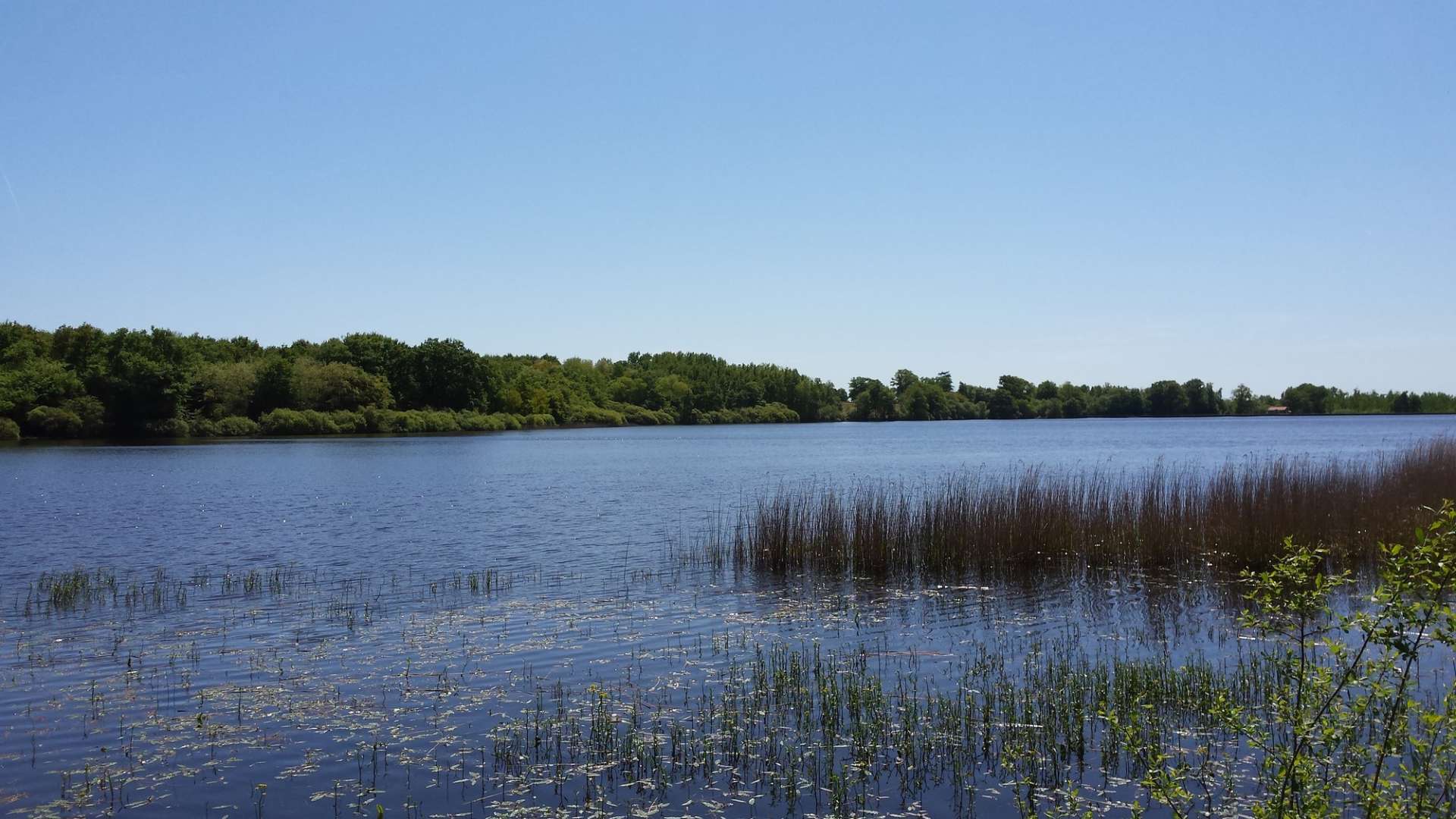 etang-de-peronne-chanteloup-les-bois-49