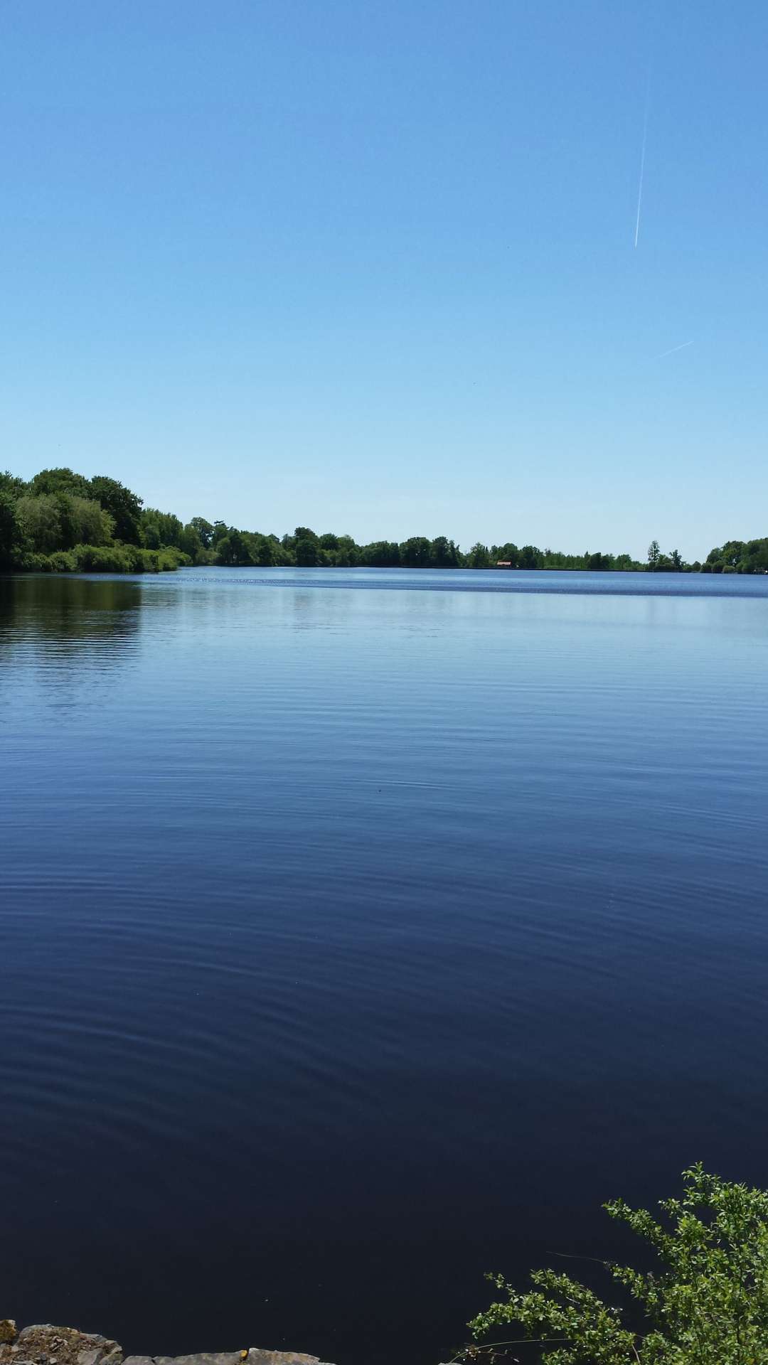 Cholet tourisme lieux de visite nature péronne étang massif forestier de Nuaillé Chanteloup les Bois espace naturel randonnée pêche