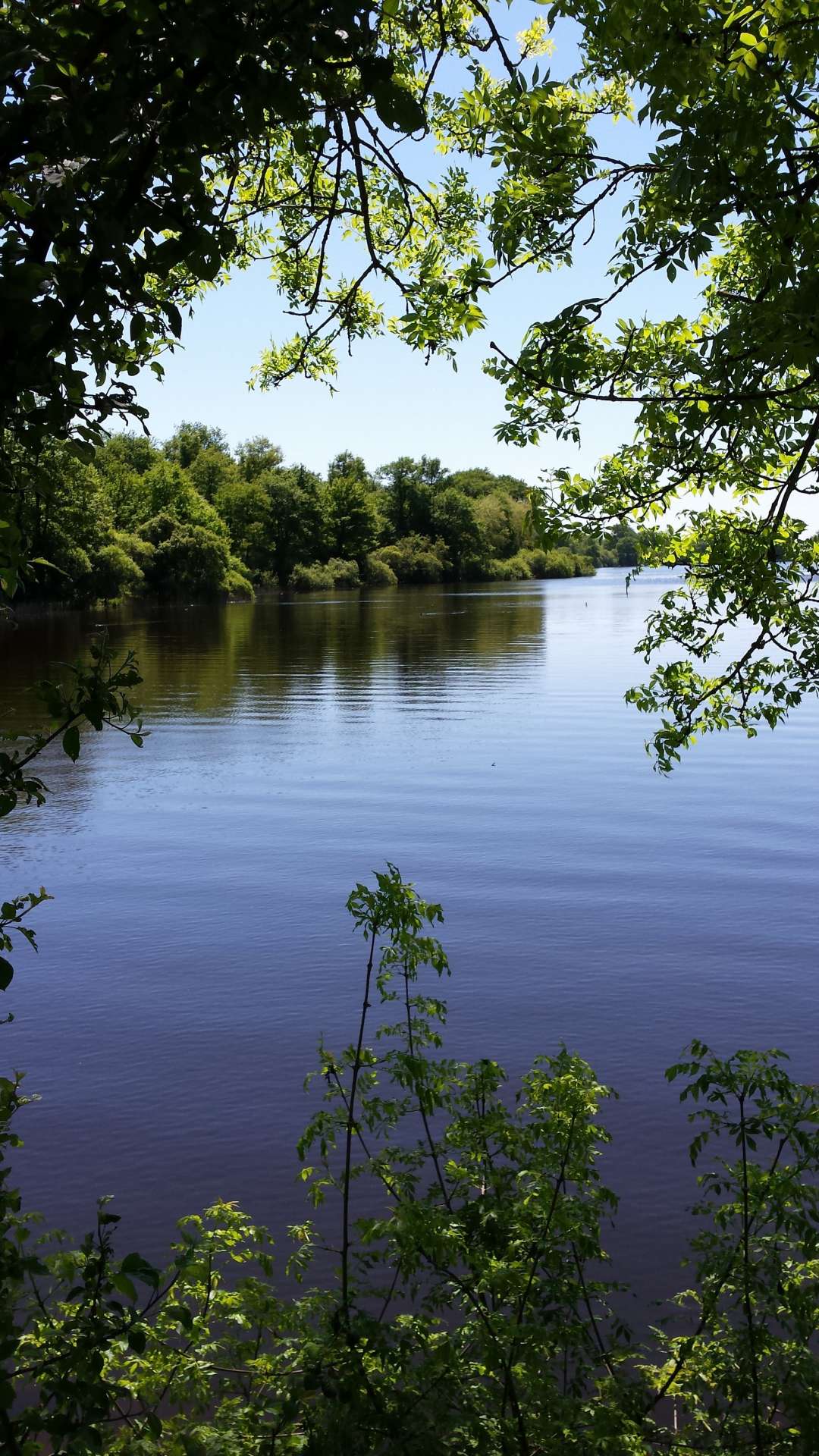 Cholet tourisme lieux de visite nature péronne étang massif forestier de Nuaillé Chanteloup les Bois espace naturel randonnée pêche