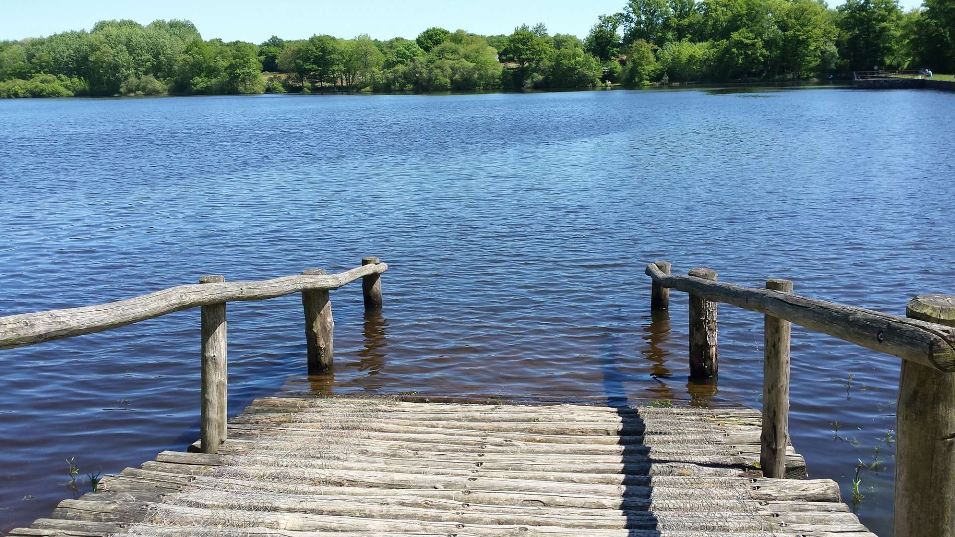 etang-de-peronne-chanteloup-les-bois-49