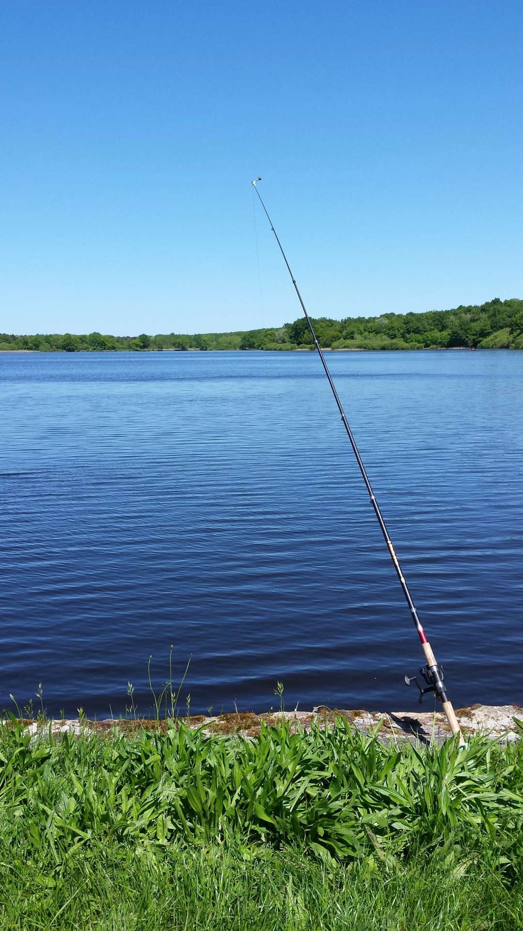 etang-de-peronne-chanteloup-les-bois-49