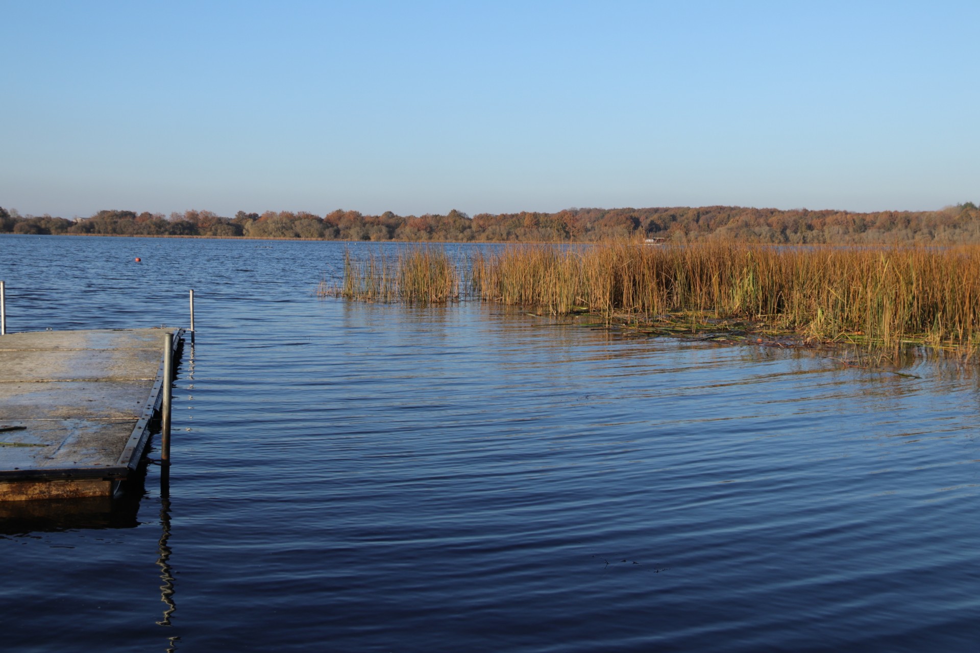 etang-des-noues-cholet