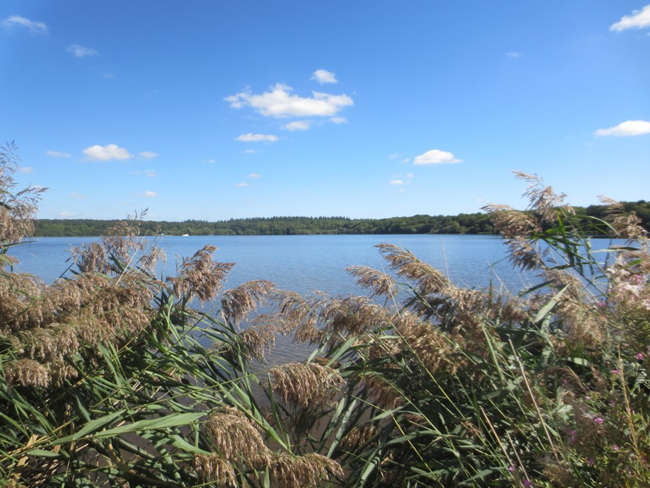 Cholet tourisme lieux de visites espace naturel Etang des Noues balade forêt