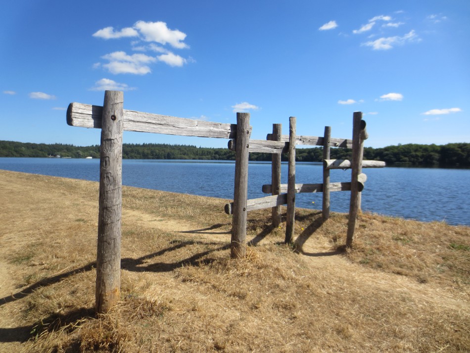 Cholet tourisme lieux de visites espace naturel Etang des Noues balade forêt