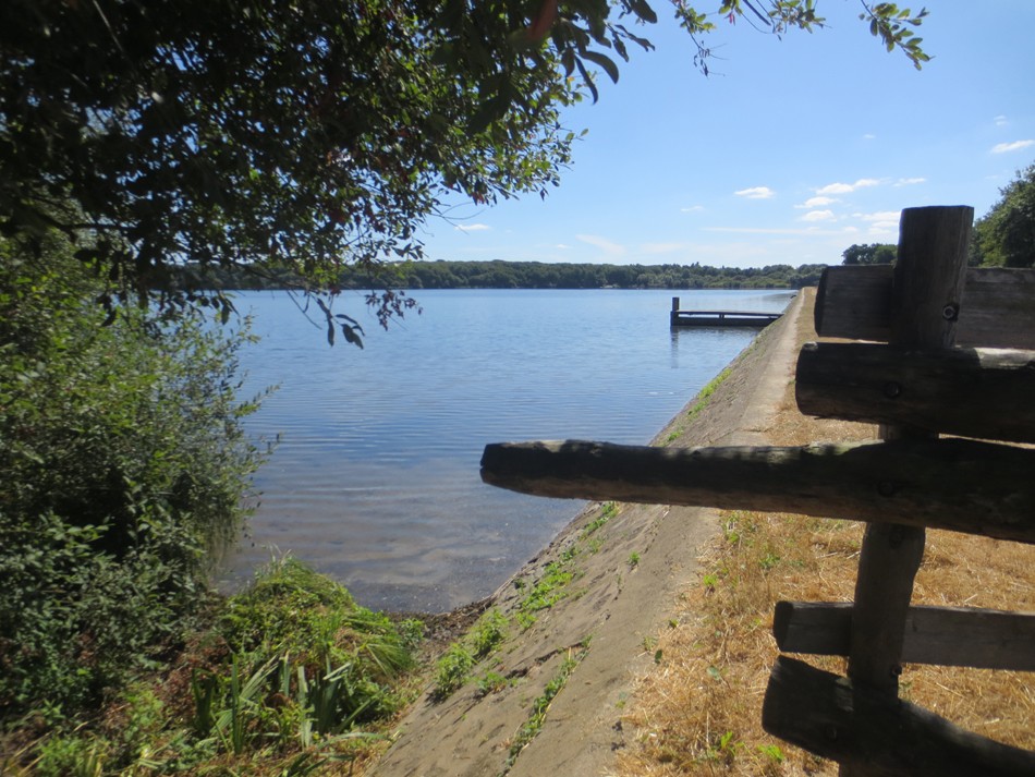 Cholet tourisme lieux de visites espace naturel Etang des Noues balade forêt