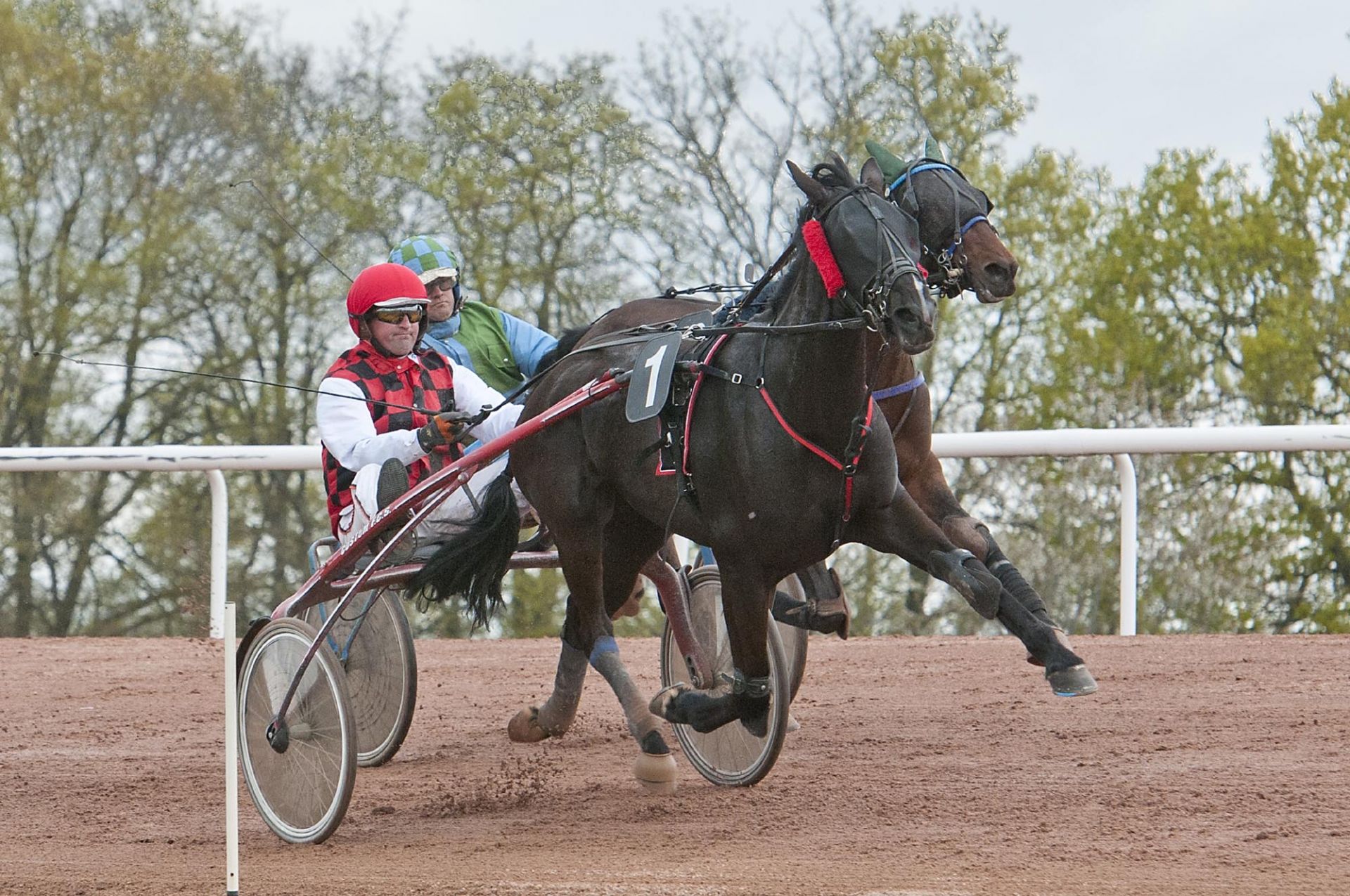 Cholet tourisme sport hippodrome Clénet cheval equestre