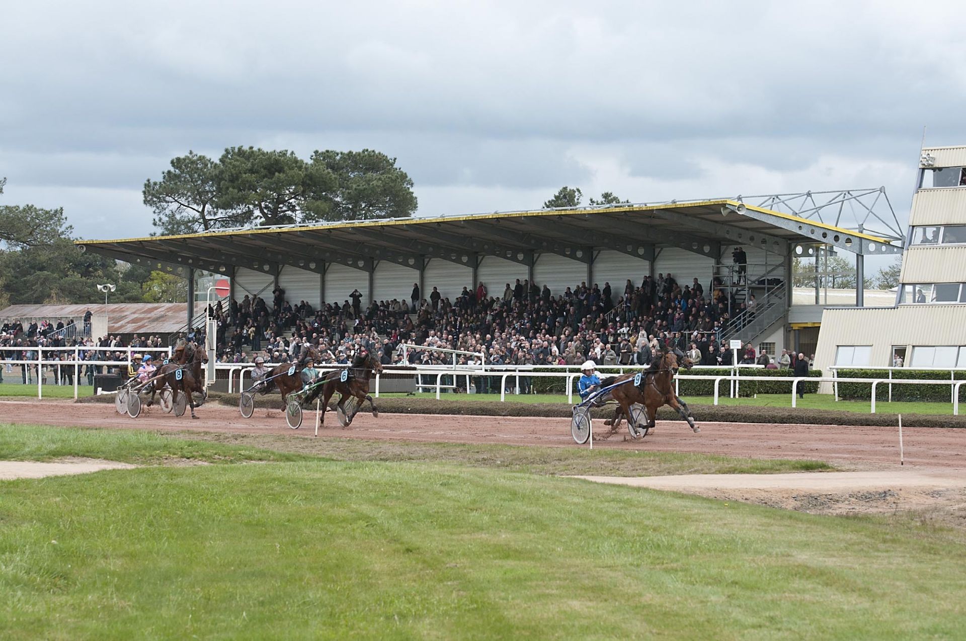 Cholet tourisme sport hippodrome Clénet cheval equestre