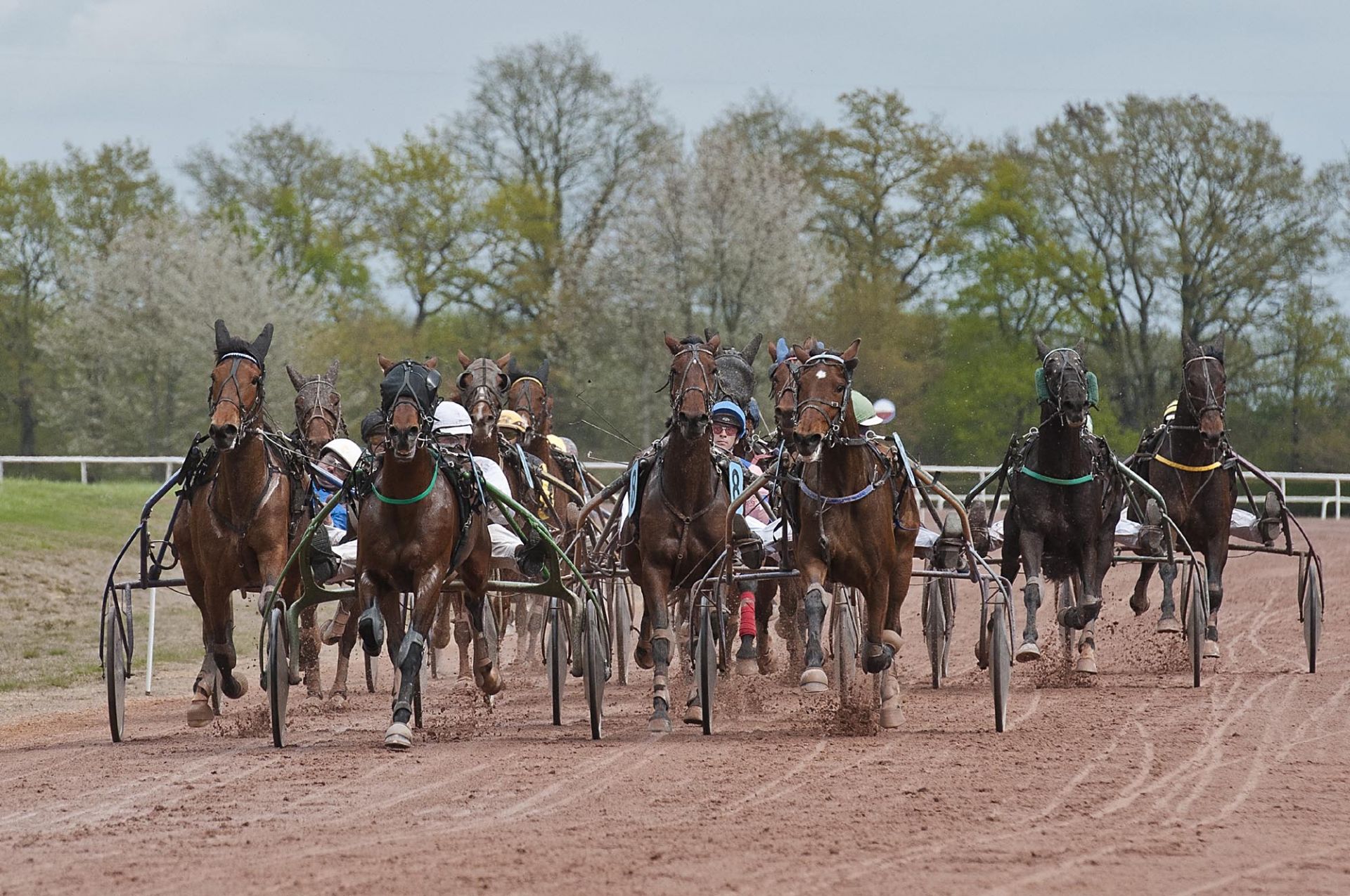 Cholet tourisme sport hippodrome Clénet cheval equestre