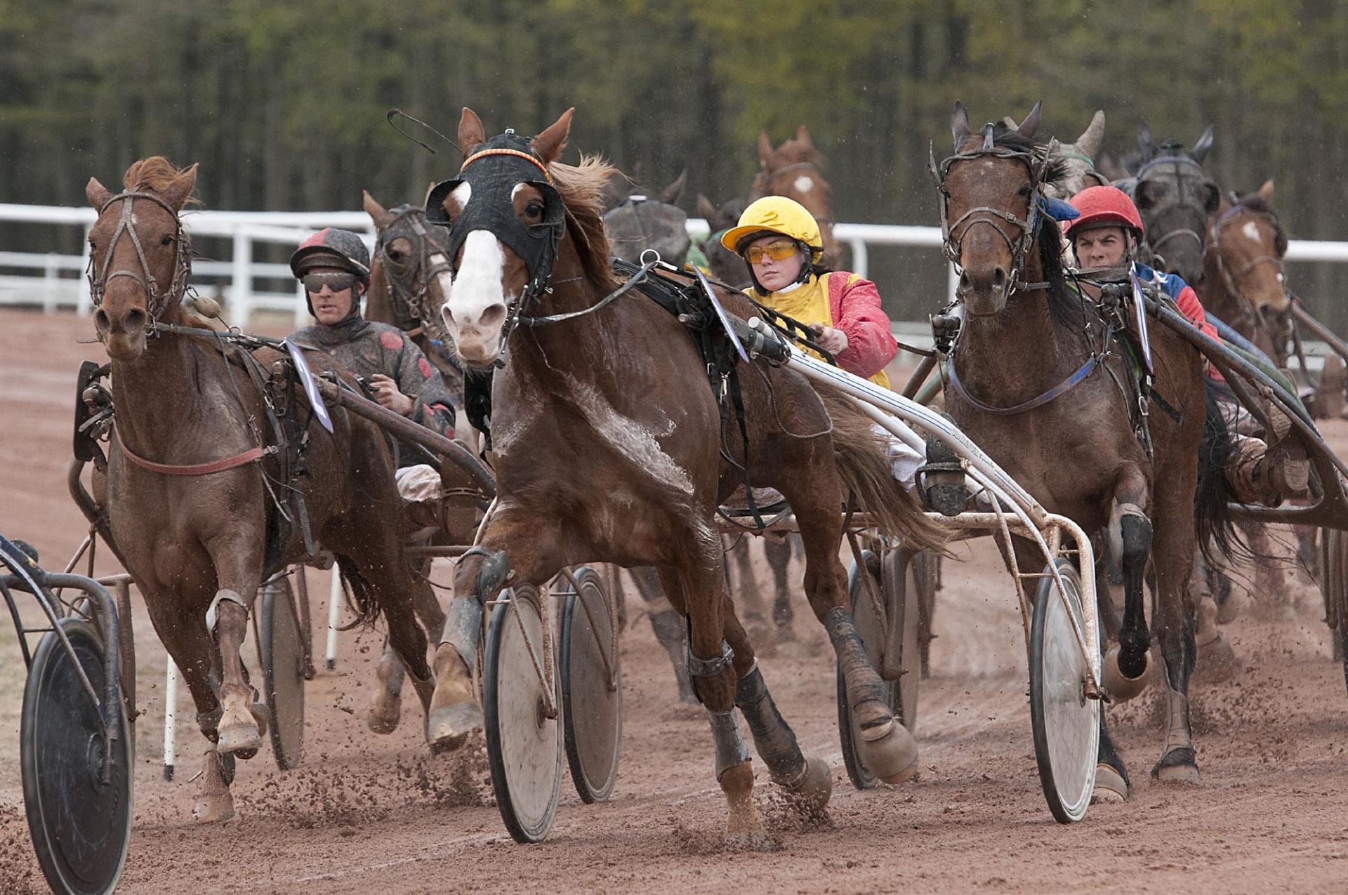 Cholet tourisme sport hippodrome Clénet cheval equestre