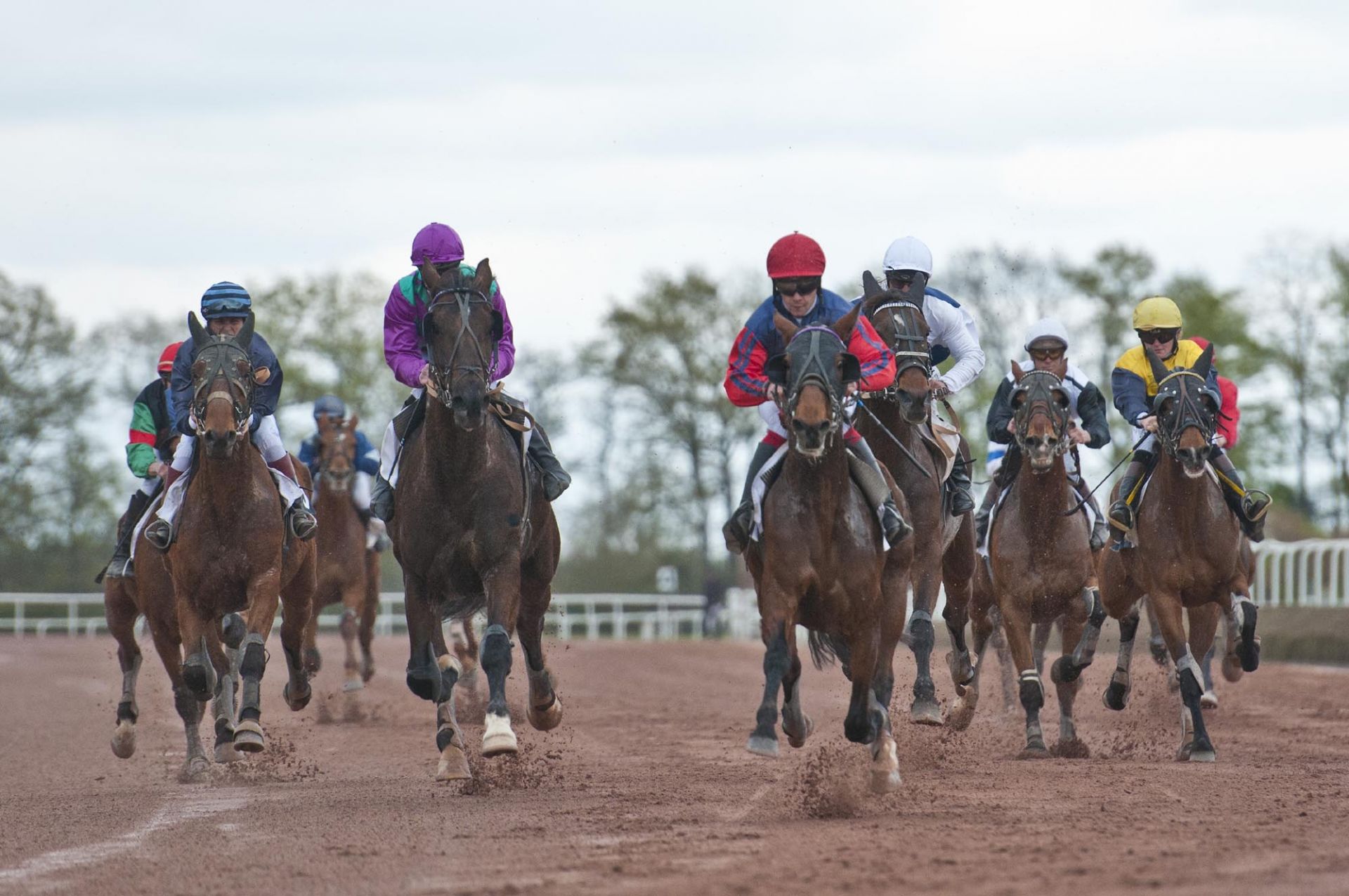 Cholet tourisme sport hippodrome Clénet cheval equestre