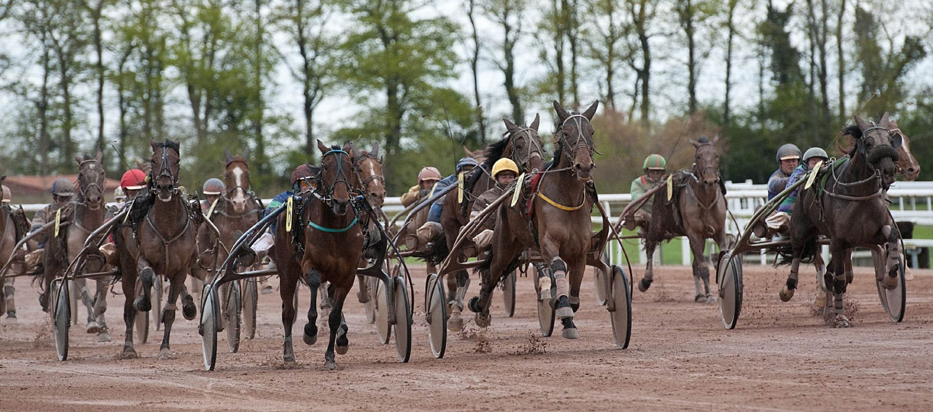 hippodrome-de-clénet-cholet-49