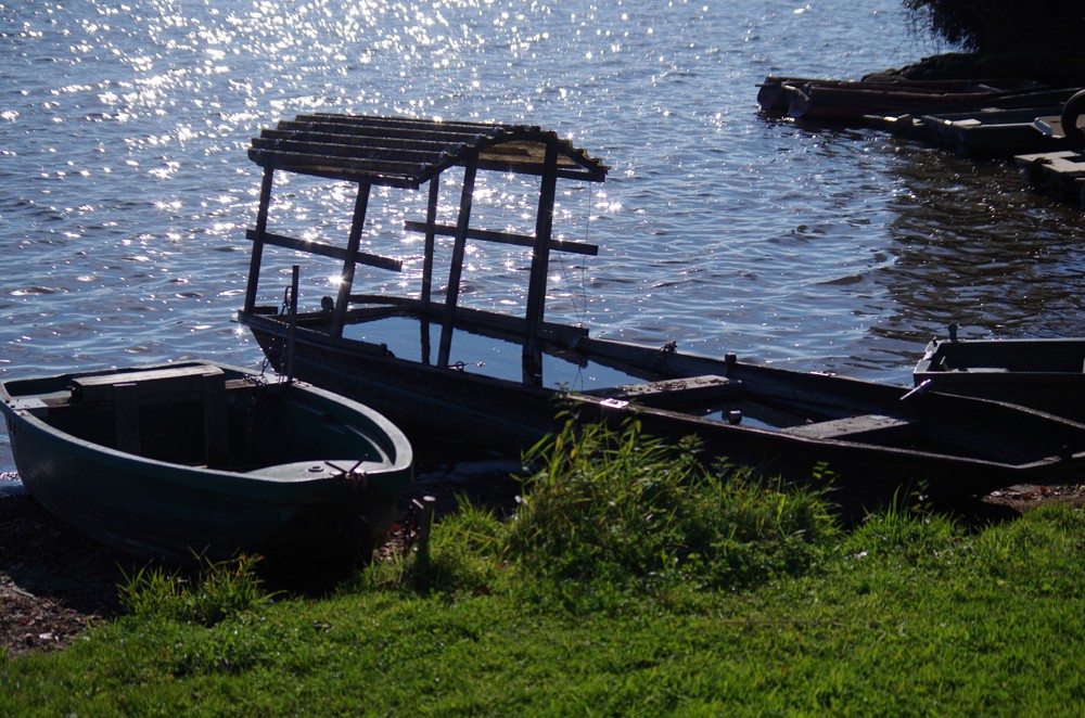 Cholet Tourisme nature lac Ribou