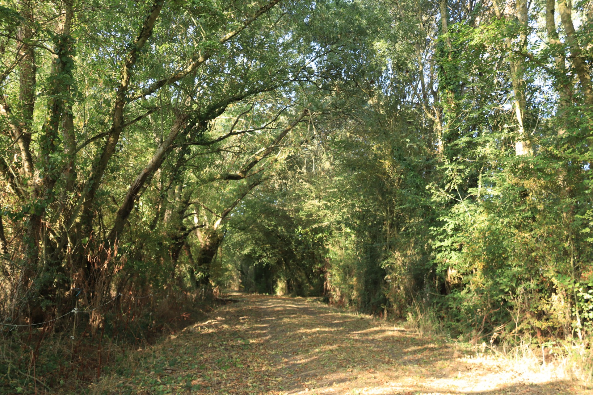 Le sentier du Pont Moreau