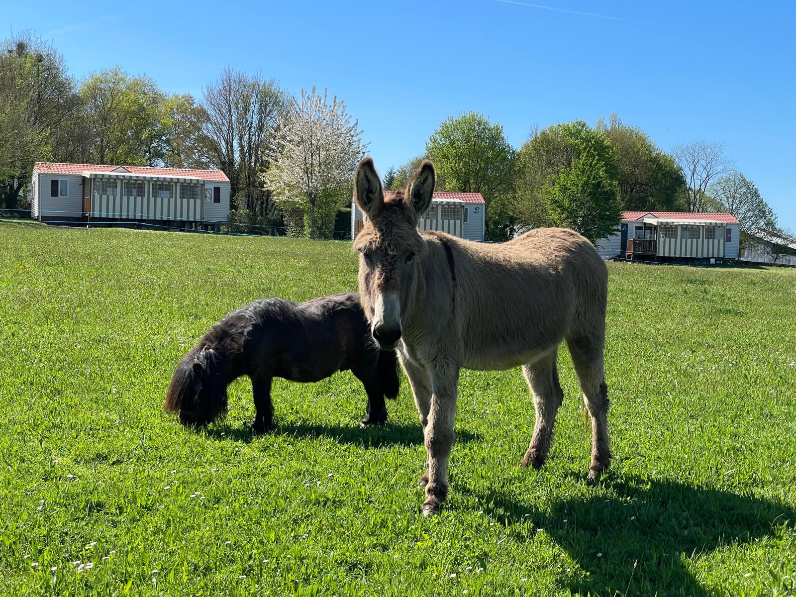 les-logis-de-loumois-maulevrier-12-2854771 les-logis-de-loumois-maulevrier-12-2854771