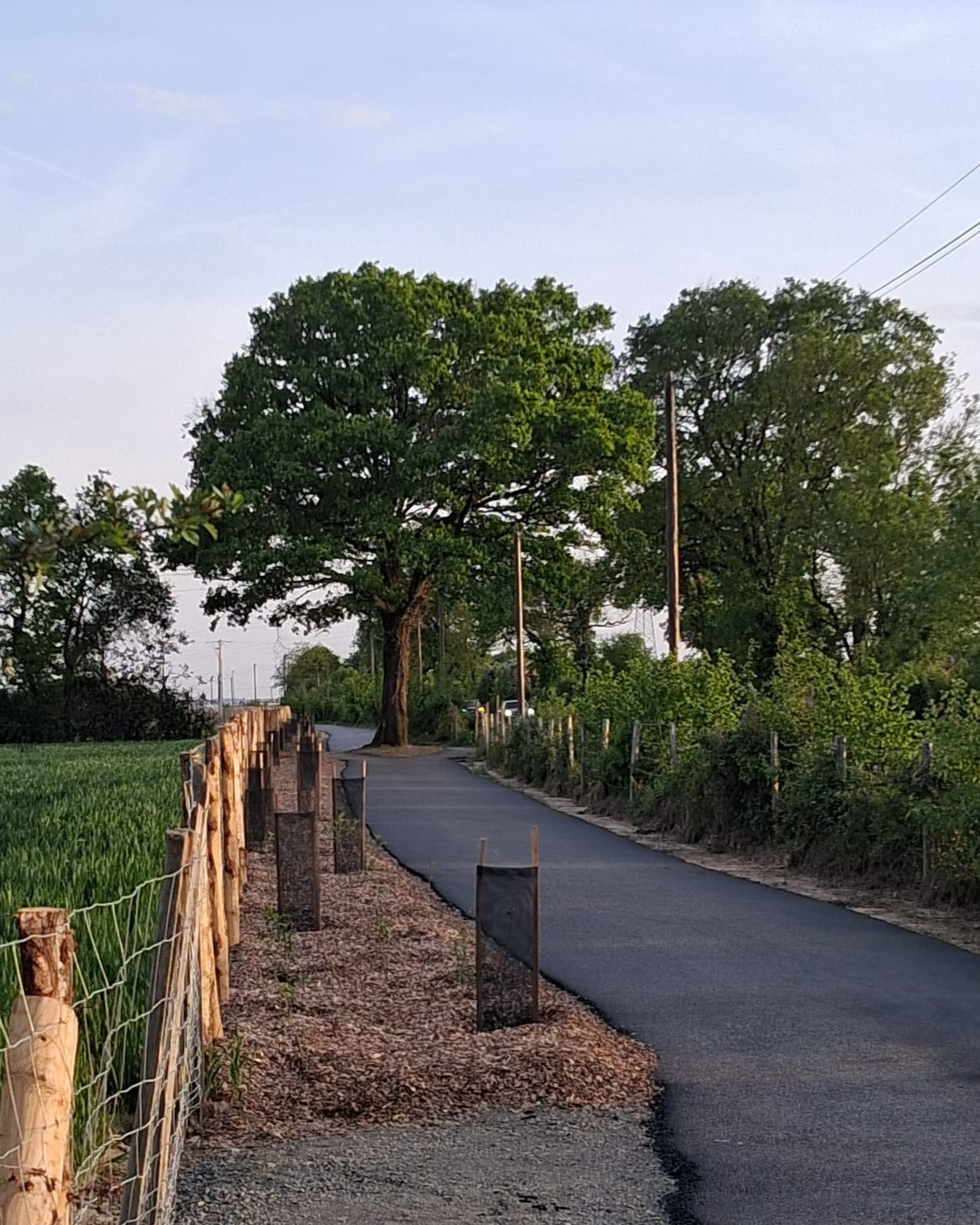 Liaison entre La Séguinière et Saint-Léger-sous-Cholet